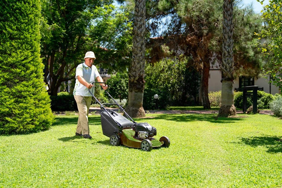 cordless mowers